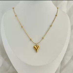 Tanvy Golden Heart Necklace ✨
